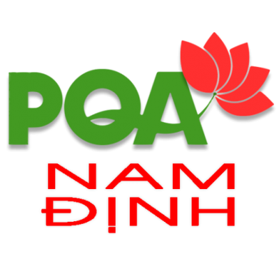 Cropped Favicon Pqa Nam Dinh.png