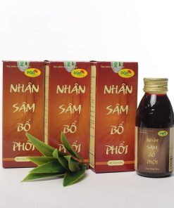 PQA Nhân Sâm Bổ Phổi 5 pqa nhân sâm bổ phổi