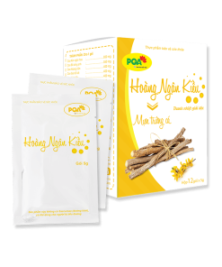 pqa-hoang-ngan-kieu-1