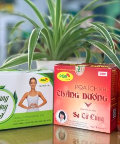 PQA Ích Khí Thăng Dương dùng cho phụ nữ bị sa tử cung