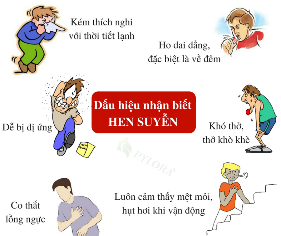 Cách phòng bệnh Hen phế quản, hen suyễn 3 Dấu hiệu nhận biết hen suyễn