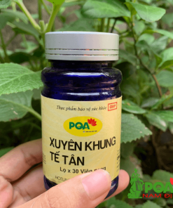 xuyên khung tế tân