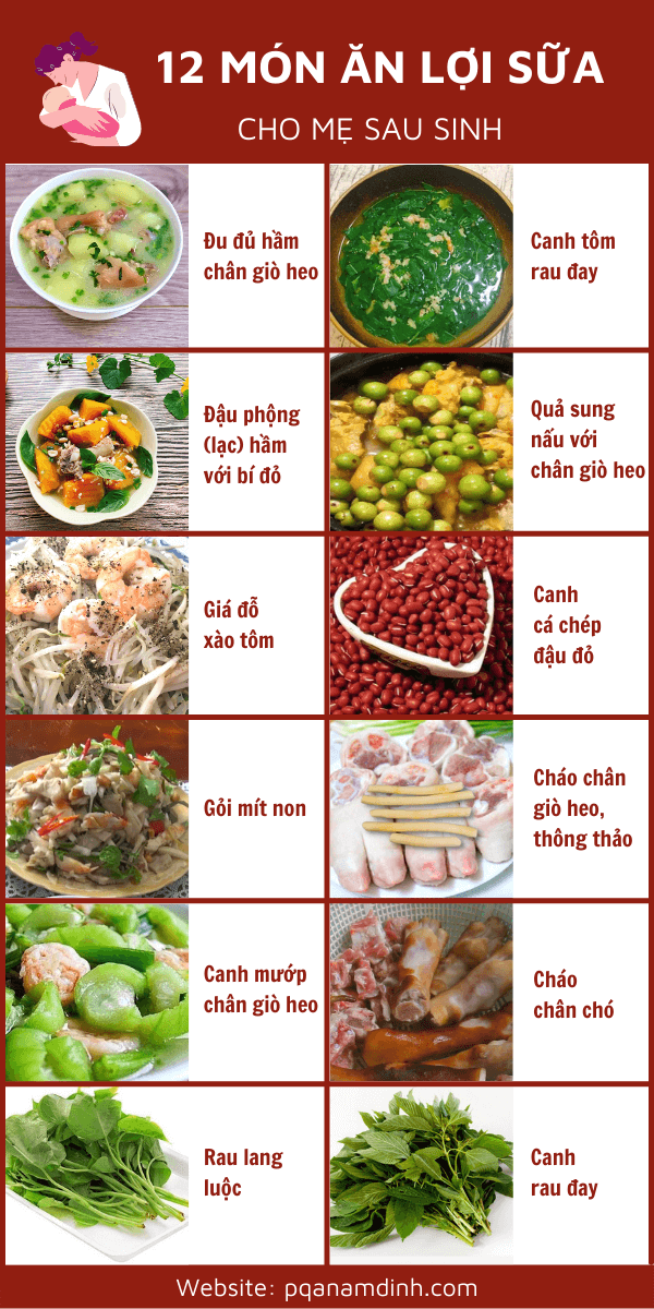 Những Thực Phẩm Lợi Sữa Cho Mẹ Sau Sinh