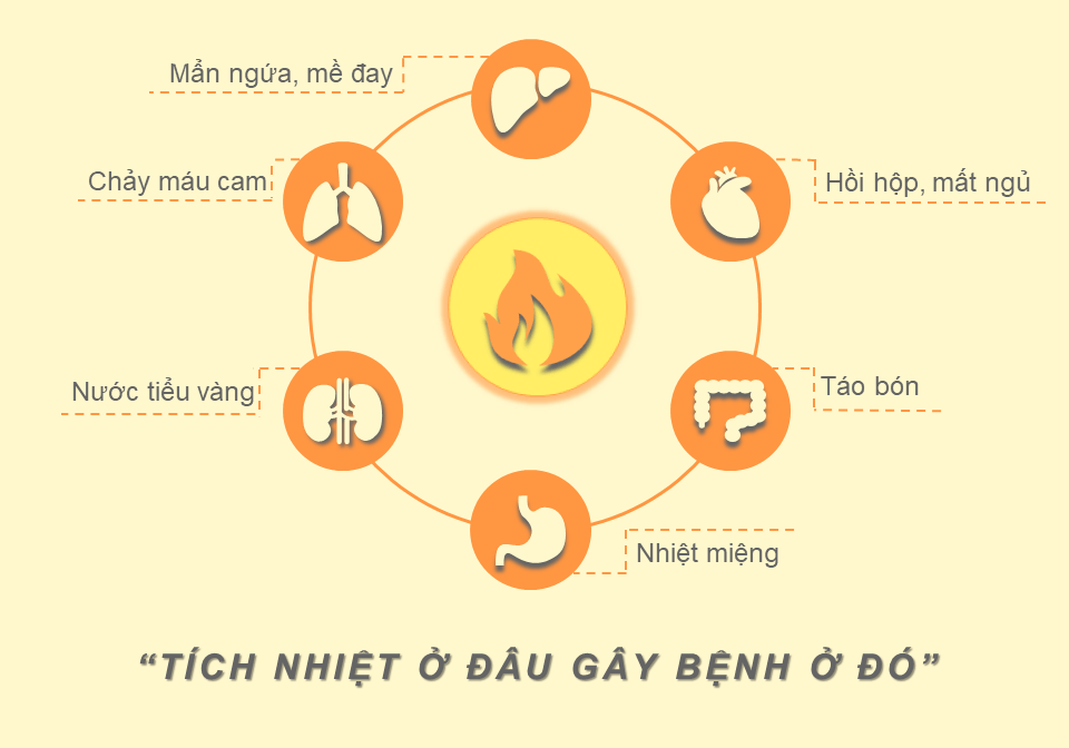 Cơ chế tác dụng của Chỉ huyết PQA 2 tích nhiệt ở đâu gây bệnh ở đó