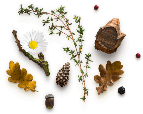 Home Herbal Slider Pic.png